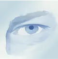 Eyes