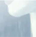 Jaw